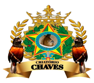 logo.png (159 KB)